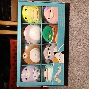 NIB Squishmallow "5   8 pack- Sealed Box set - Avery, Patty, Joelle, Meadow